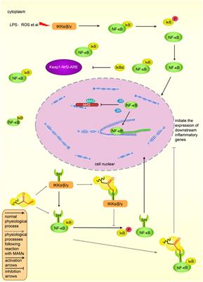 Michael acceptor molecules in natural products and their mechanism of action